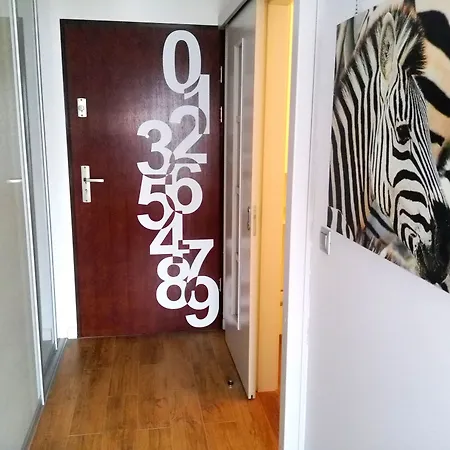 Lucky Business Old Town Apartment
